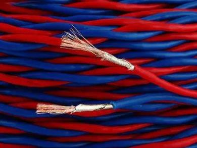 WDZN-RYJS清潔環(huán)保阻燃耐火電線